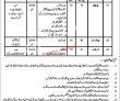 It Jobs In Government Sector Pakistan Army Jobs 2022