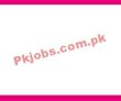 It Jobs In Government Sector Zong Company Jobs 2022